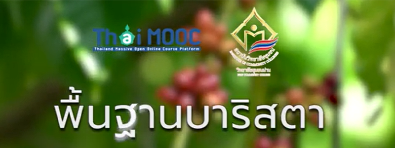 พื้นฐานบาริสตา | Basic Barista ICCS013